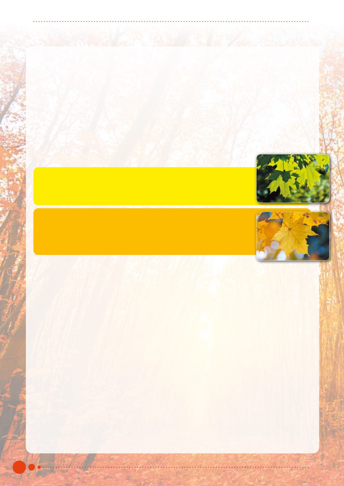 Page Background